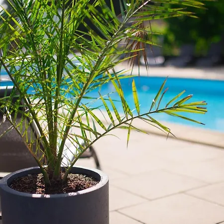 Logis Domaine Du Moulin Cavier - Restaurants & Otel 3*