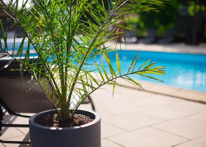 Logis Domaine Du Moulin Cavier Hotel 3*