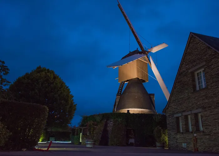 Hotel Logis Domaine Du Moulin Cavier 3*